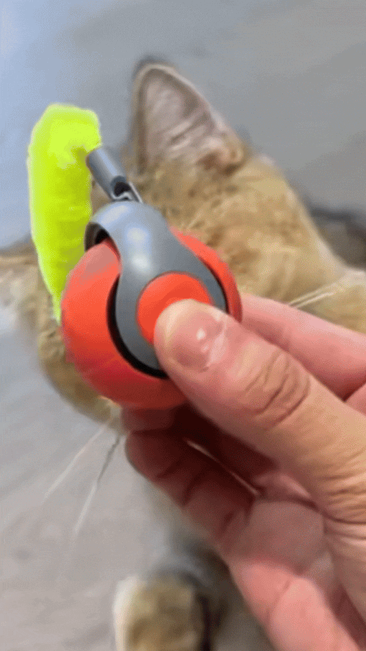 Smart Automatic Cat Ball toy