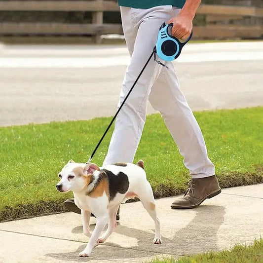 Person walking a small white and brown dog on a retractable leash on a sidewalk