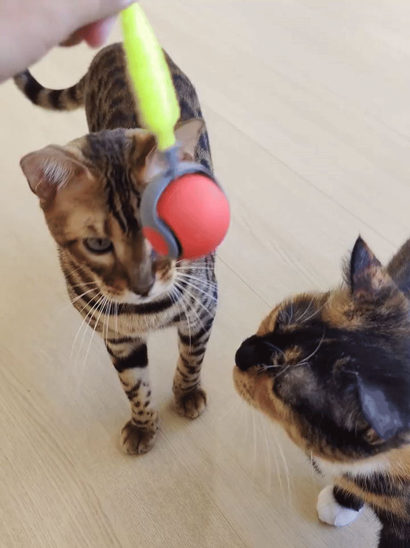 Smart Automatic Rolling Cat Ball –  Every Cat Loves !
