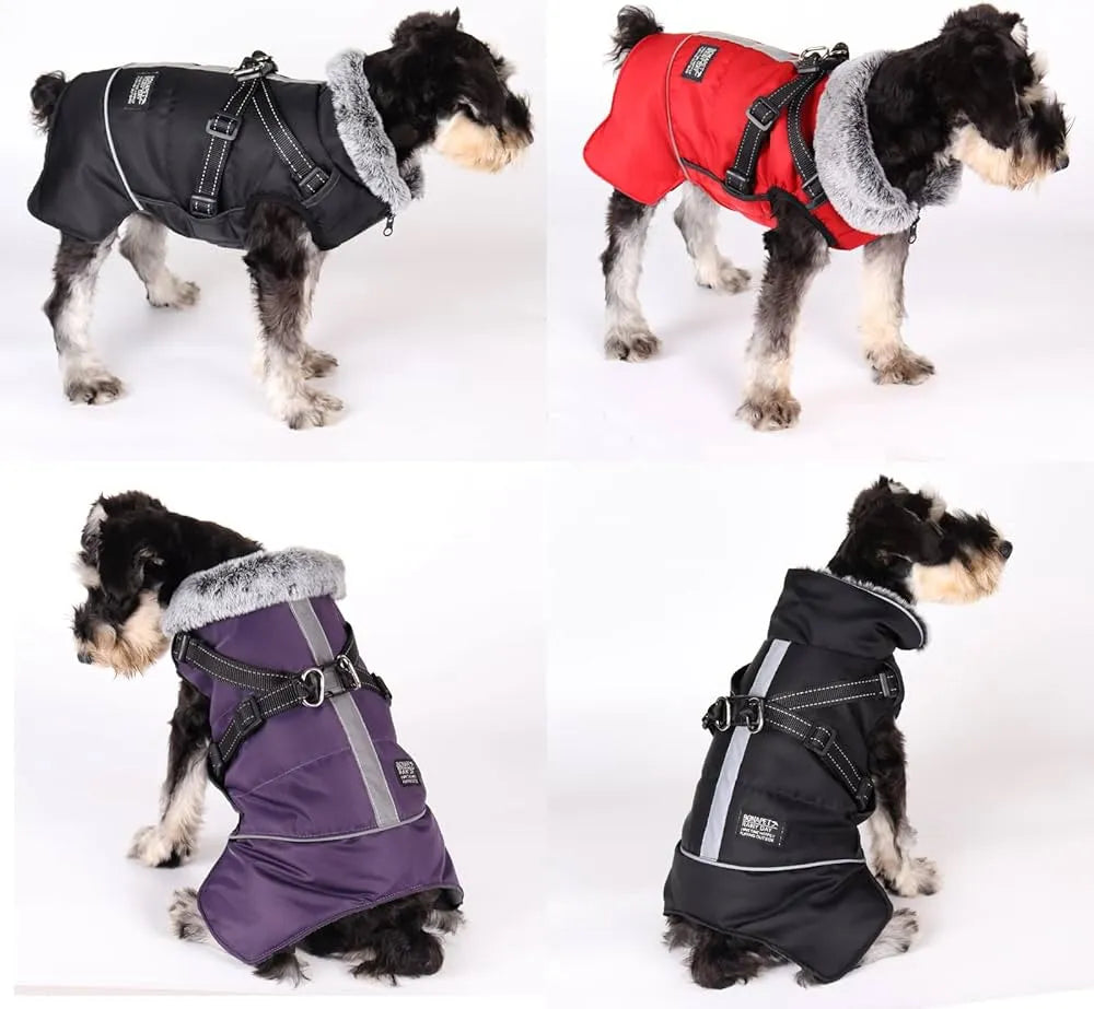 Dog Winter Coat