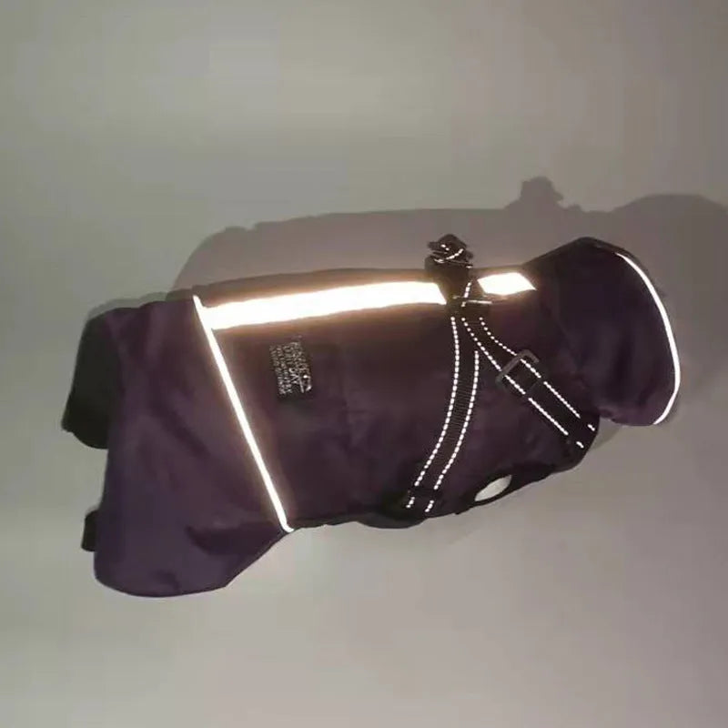 Black reflective dog raincoat with adjustable straps and hood, shown on a gray background