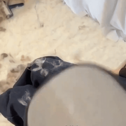Person shaking black fabric with white dust over a light carpet near a bed in a room