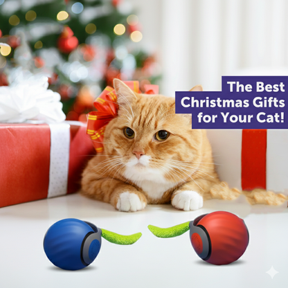 Smart Automatic Rolling Cat Ball –  Every Cat Loves !