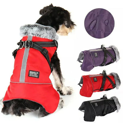 Dog wearing red waterproof winter coat with reflective strip and harness, shown with purple, red, and black color options